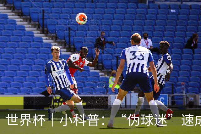 世界杯｜小科普：“伪球迷”速成手册
